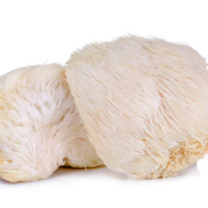 Lion's Mane Organic