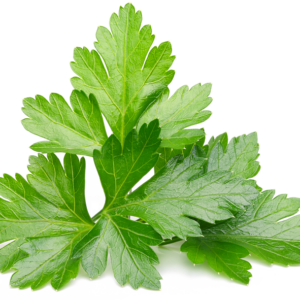 Parsley