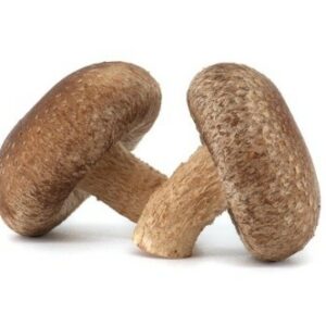 Shiitake Organic