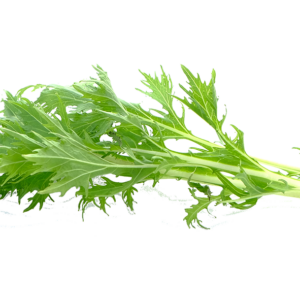 Mizuna Sprouts