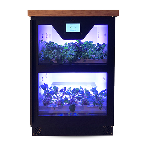indoor small