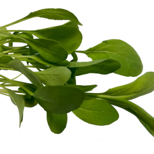 Victoria Rocket